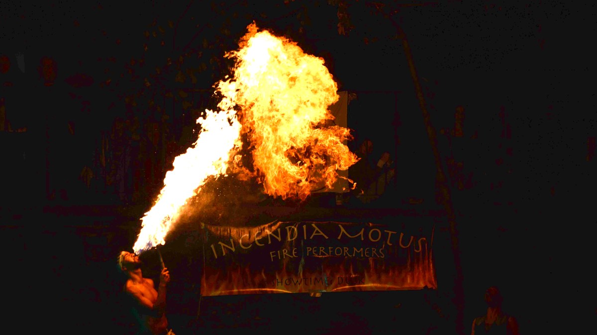 Photos: Nocturne 2017