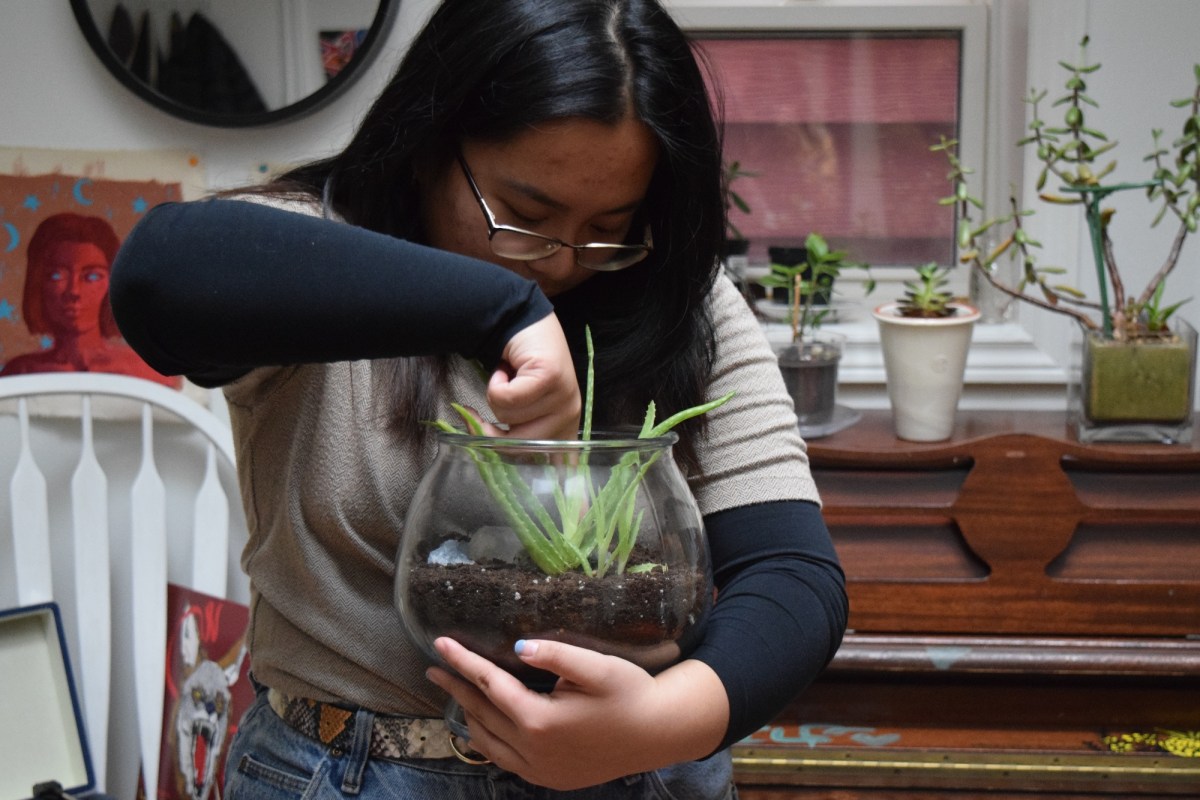 “When I’m stressed, I buy plants to cope”: Online Learning in Profile