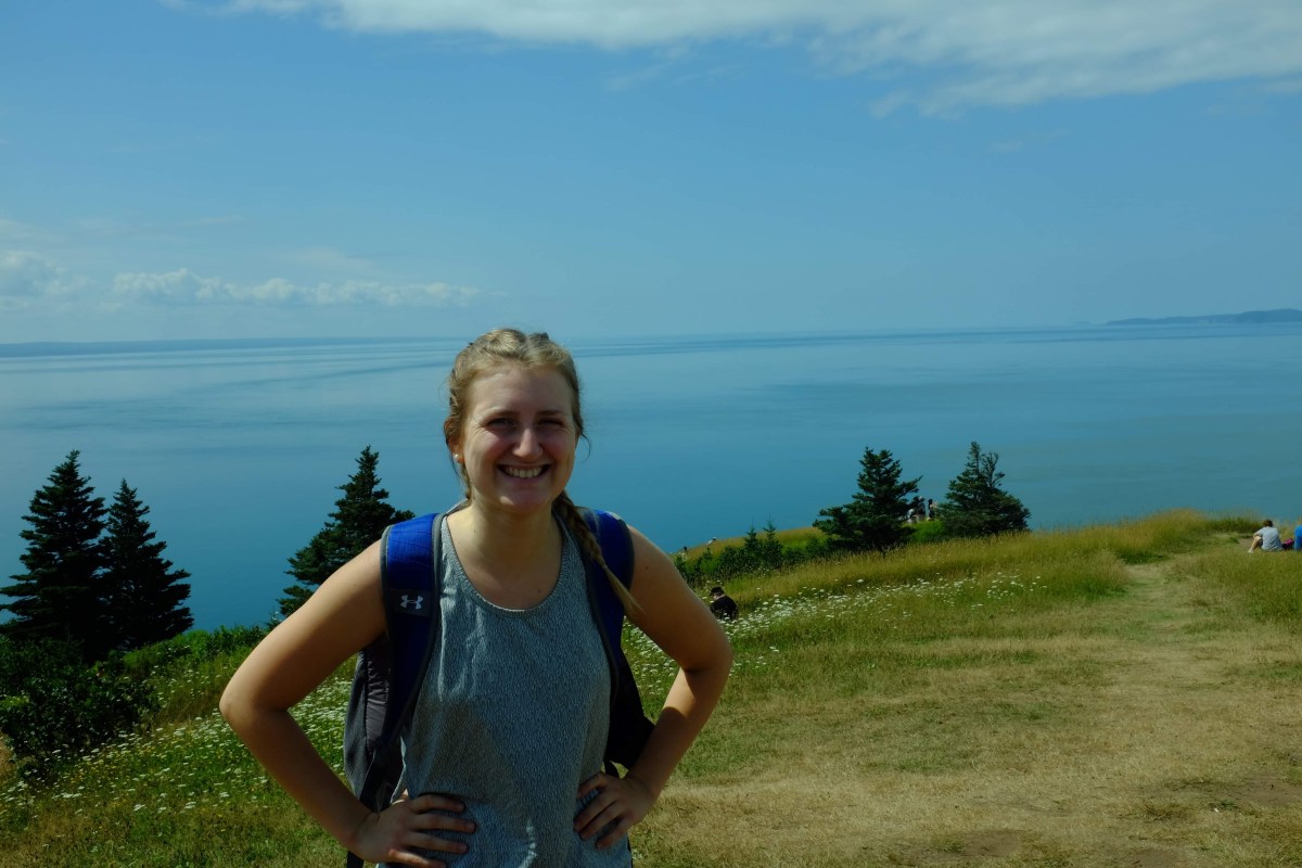 “Everyone that I know is just sad and anxious”: Online Learning in Profile