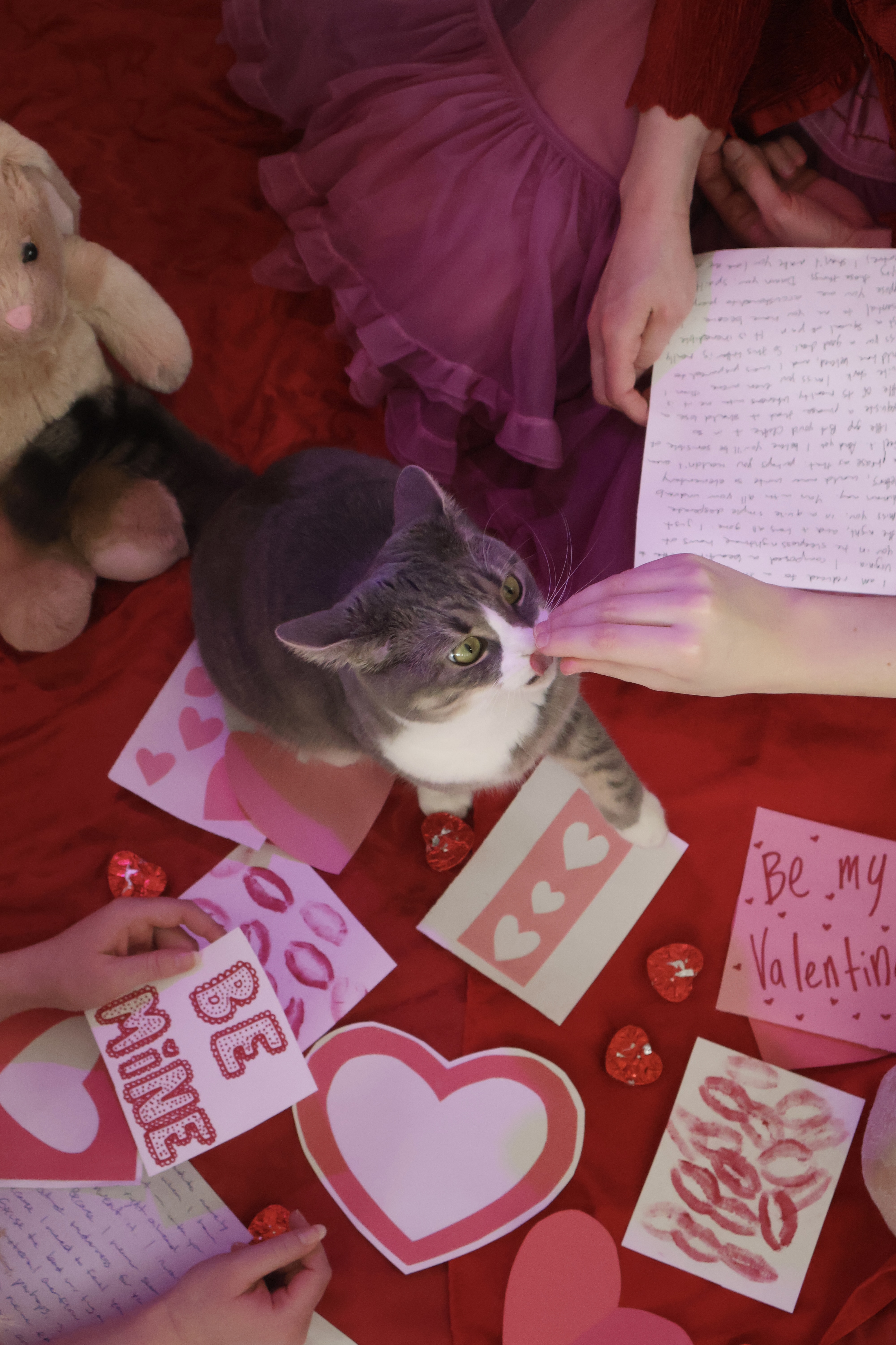 Valentine’s Day is over